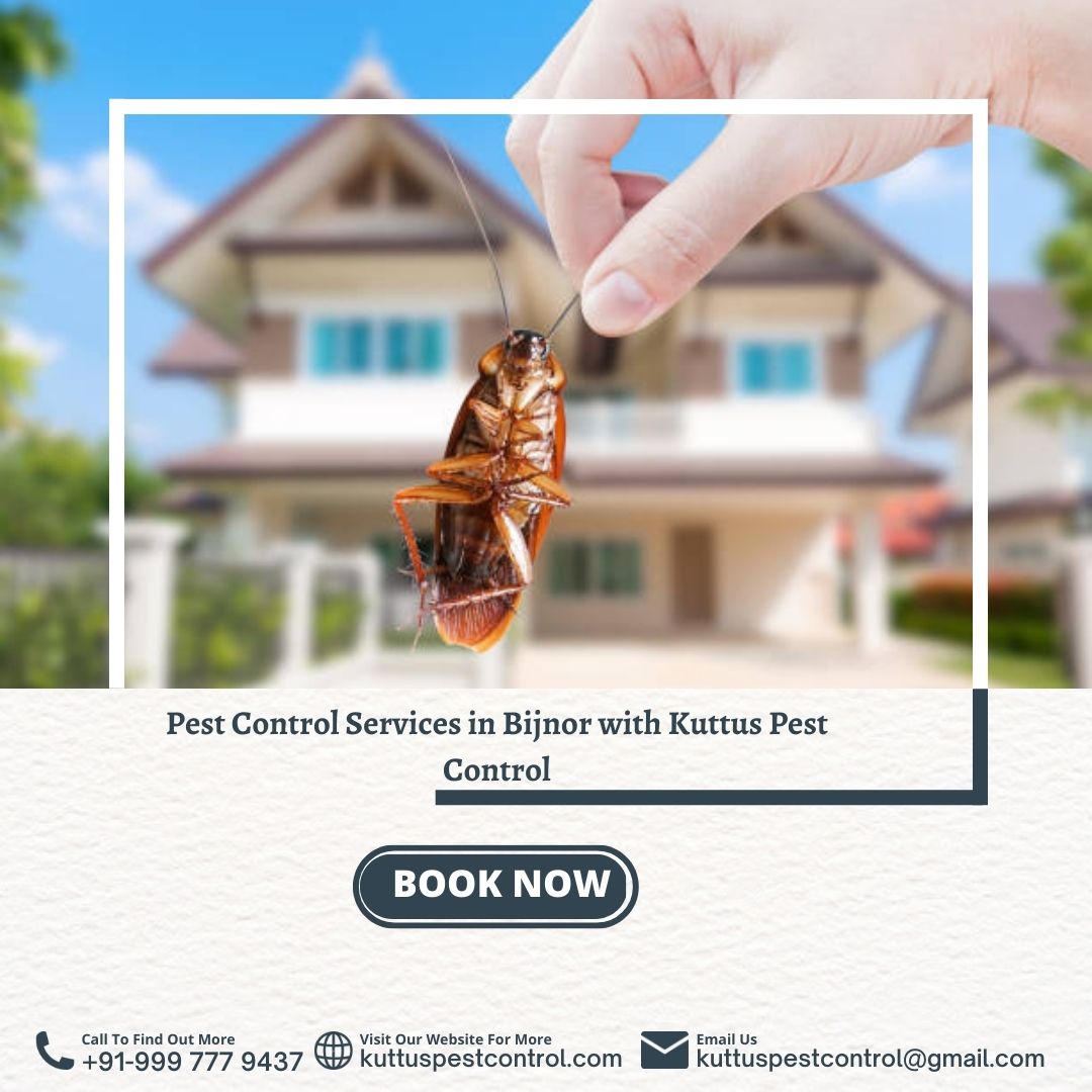 Pest Control Service in Bijnor